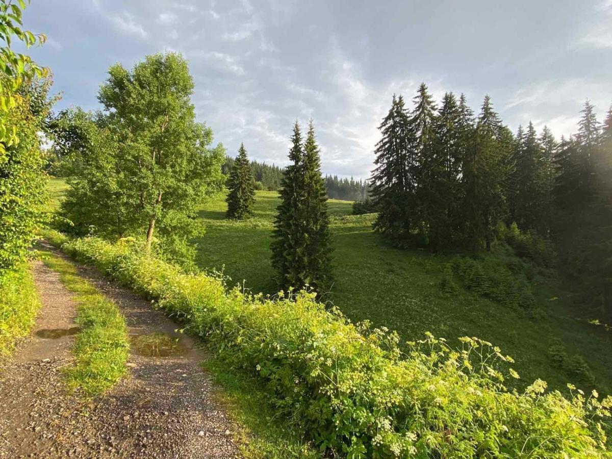 Villa Ahrida Смолян Екстер'єр фото